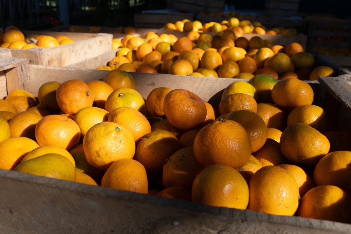 ���� �� ������ ������, � ��������� ��������: ��� ���� ����� ���������� ����� �����������