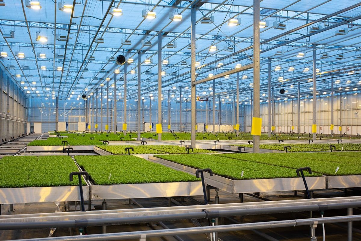 ��� ��������� ���� ������� �������: ���������� � ������������