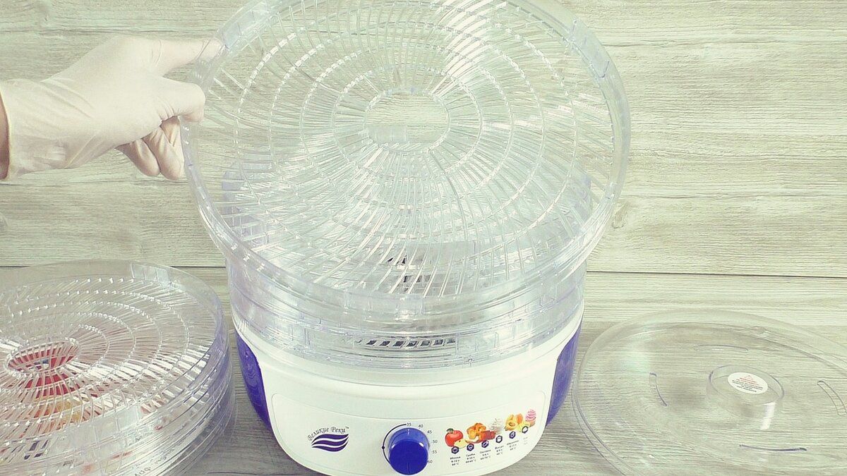 ������ �������� �����: ��� �������� �� ������������ ���� ������� ���