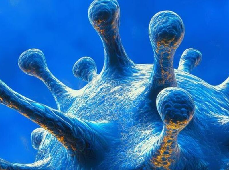 ��������� ���������� ����: ����� ����� �� ������