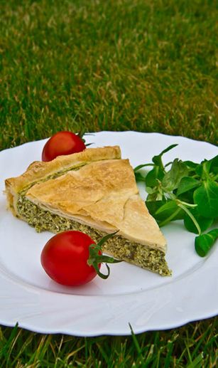 ������� ����� � ������� � ��������: ������� ������ ��� ��������� �������������