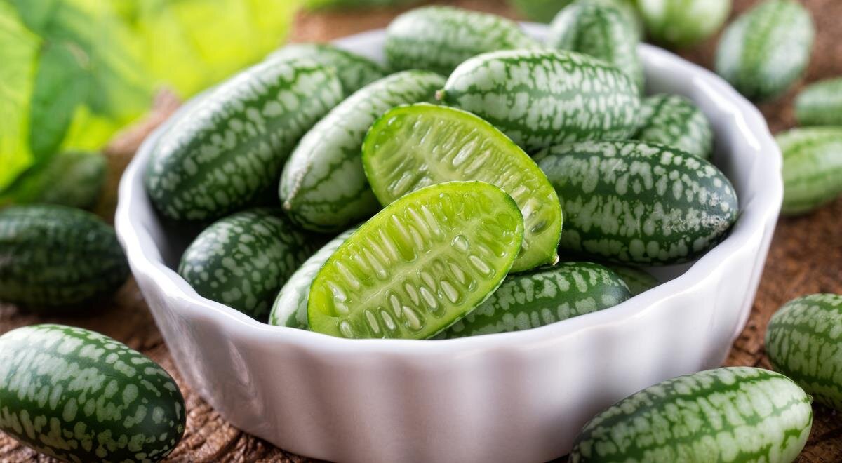 Мышиный арбуз: необычный дар природы