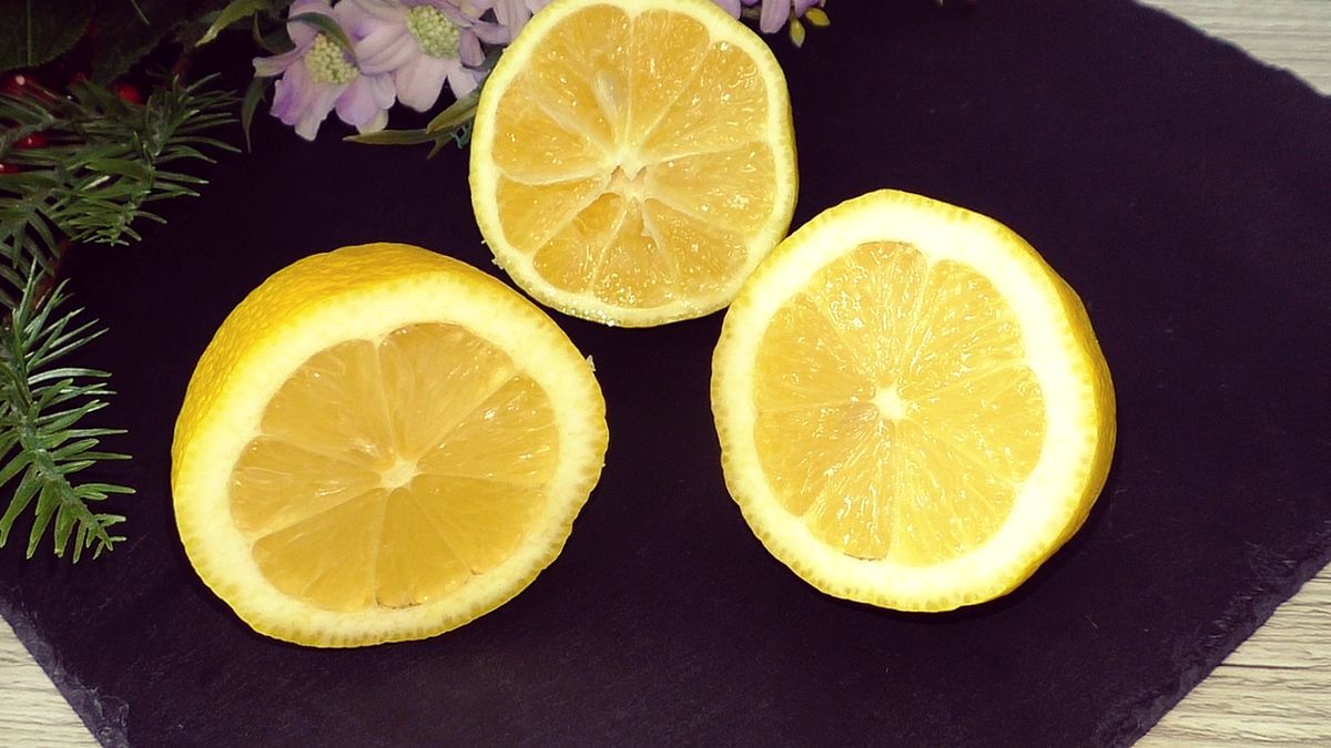 �������� ��: ������� ������ ��������� ���� ����