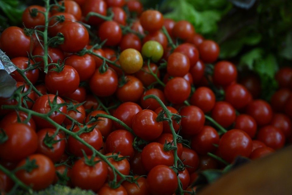 Кировчане на пути к устойчивому самообеспечению овощами и картофелем