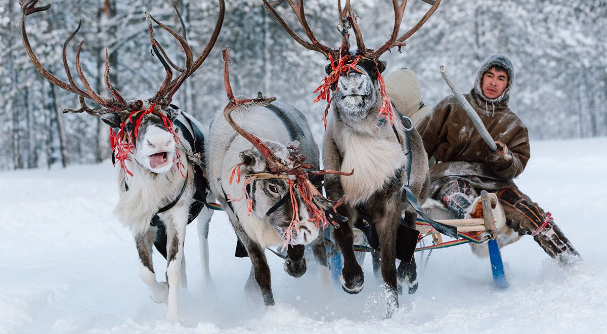 Кулинарные тайны тундры: чем питаются народы ханты и манси