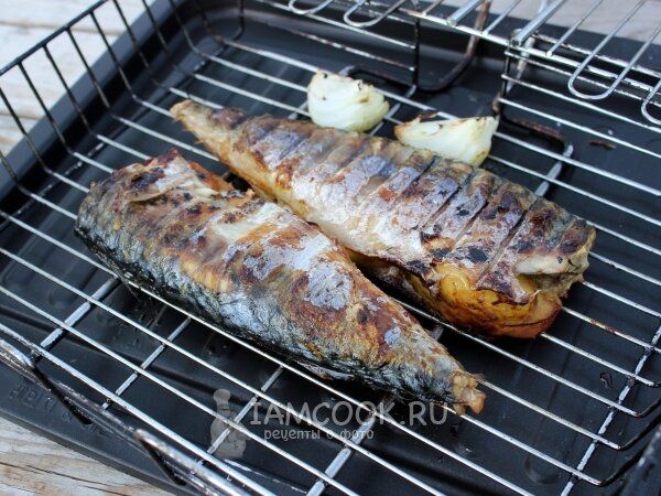 ���� �� �������: ������ ����� ��� �������