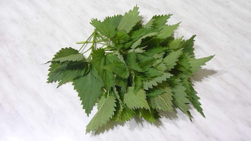 ������� � ��������: ����� ������� ��������� ����