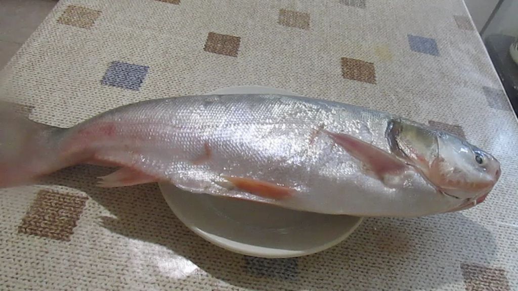 ��� ��������� ������������ ������������: ������� ��� ��������