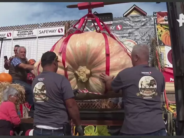 Инженер из Калифорнии побил рекорды, вырастив тыкву весом более тонны