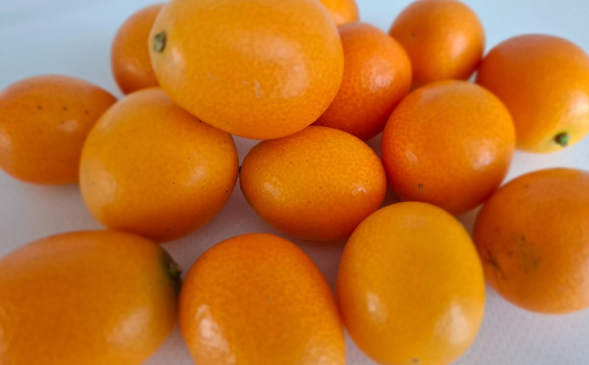 � ��������� ���� ��������: ������� � �������� ���������