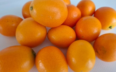 � ��������� ���� ��������: ������� � �������� ���������