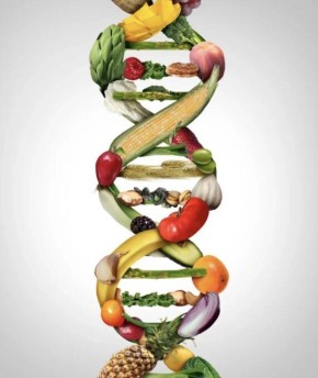 ������������������� �������: ��� �������� � ��������� ��������� �������������� ����� ��������