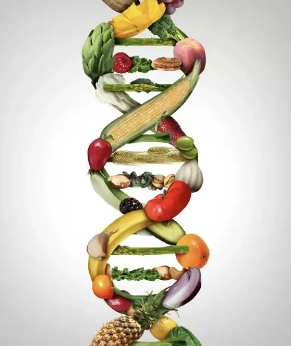 Персонализированное питание: Как генетика и микробиом формируют индивидуальные диеты будущего