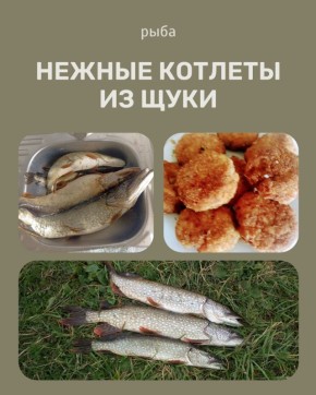 ������� �� ����: ������������� ������ ��� ��������� ����