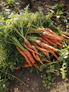 �������: �������� ��������� � ������� ��������� ���������� ��� ��������