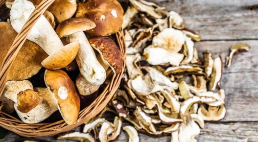 ����������� ������� ���� �� ������� ������ �� ����� ����