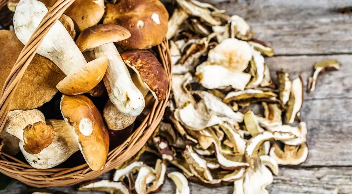 Невероятные рецепты супа из сушеных грибов на любой вкус