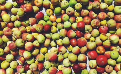 ����: ���������� ���� ����� � ��������