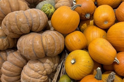 ������� ���� �����: ������������ ����� �� �����, ������� ����� �����������