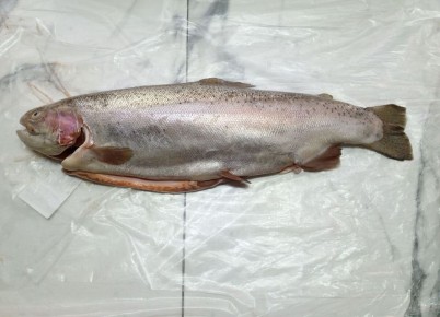 ������� �������: ��� ����������� �������� �� ������