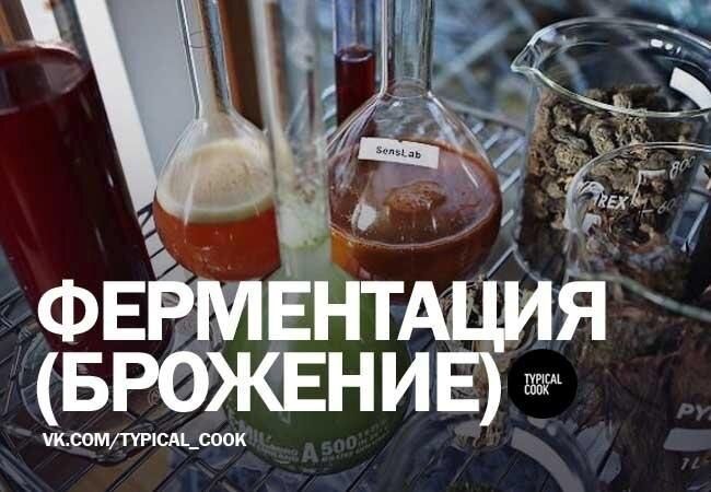 Тайны ферментации: от вина до сыра