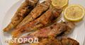 Рыбная кость застряла в горле: что делать и как избежать осложнений