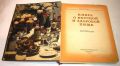 Кулинарный символ эпохи: «О вкусной и здоровой пище» и её история